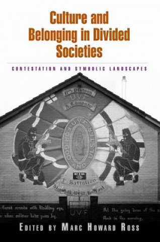 Buch Culture and Belonging in Divided Societies 