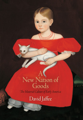 Buch New Nation of Goods David Jaffee