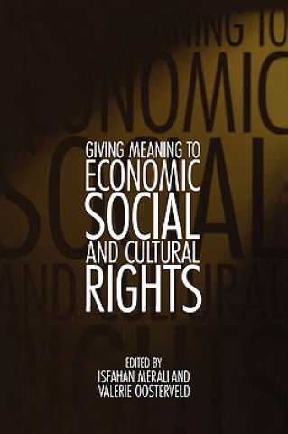 Kniha Giving Meaning to Economic, Social, and Cultural Rights Isfahan Merali