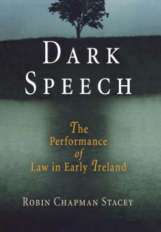 Книга Dark Speech Robin Chapman Stacey