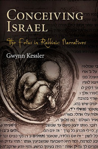 Kniha Conceiving Israel Gwynn Kessler