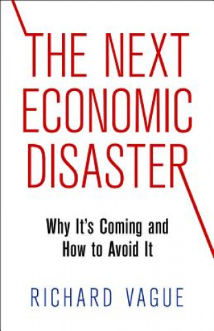 Kniha Next Economic Disaster Richard Vague