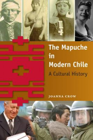 Knjiga Mapuche in Modern Chile Joanna Crow