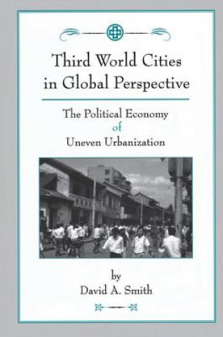 Knjiga Third World Cities In Global Perspective David A. Smith