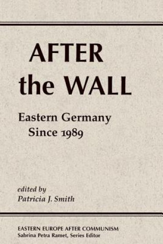 Knjiga After The Wall Patricia J. Smith