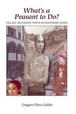Carte What's A Peasant To Do? Village Becoming Town In Southern China Gregory Eliyu Guldin