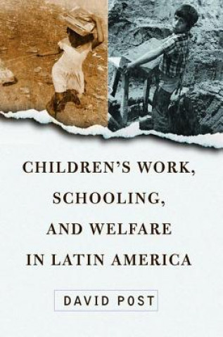 Książka Children's Work, Schooling, and Welfare in Latin America David Post