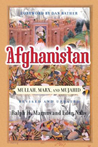 Carte Afghanistan Eden Naby