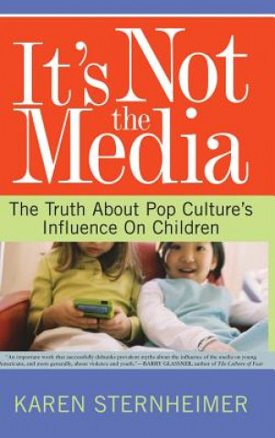 Kniha It's Not The Media Karen Sternheimer