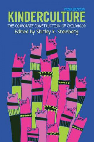 Könyv Kinderculture Shirley Steinberg