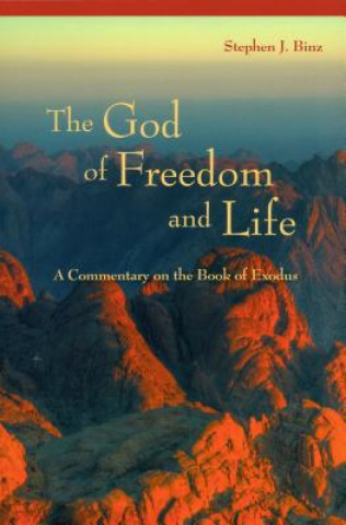 Buch God of Freedom and Life Stephen J. Binz