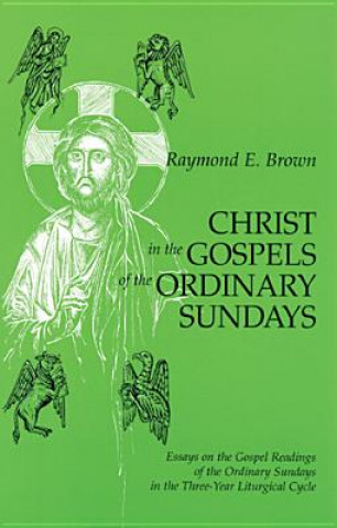 Książka Christ in the Gospels of the Ordinary Sundays Raymond E. Brown