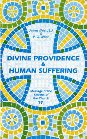 Kniha Divine Providence and Human Suffering James Walsh