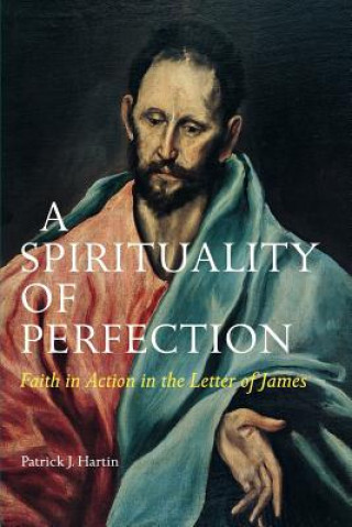 Książka Spirituality of Perfection Patrick J. Hartin