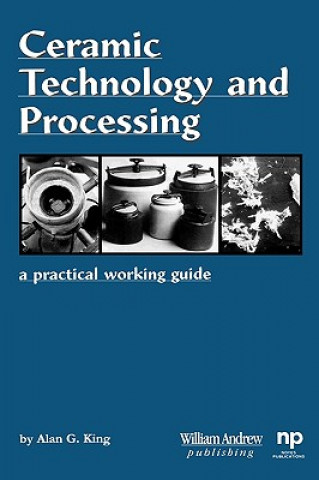 Könyv Ceramic Technology and Processing Alan Galen King