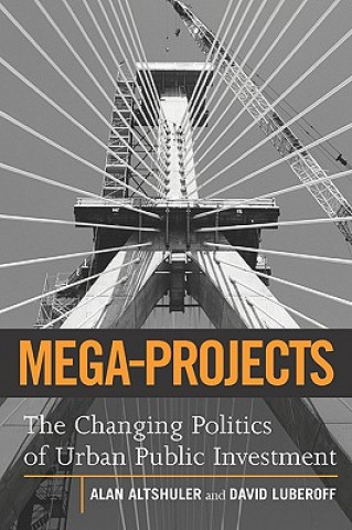 Buch Mega-Projects David E. Luberoff