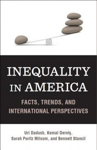 Książka Inequality in America Bennett Stancil