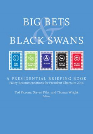 Kniha Big Bets and Black Swans 2014 