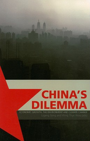 Книга China's Dilemma 