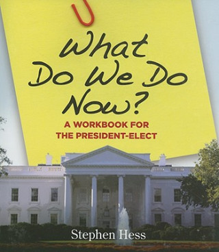 Book What Do We Do Now? Stephen Hess