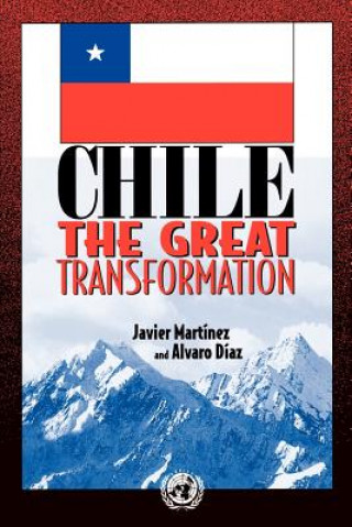 Könyv Chile Alvaro Diaz