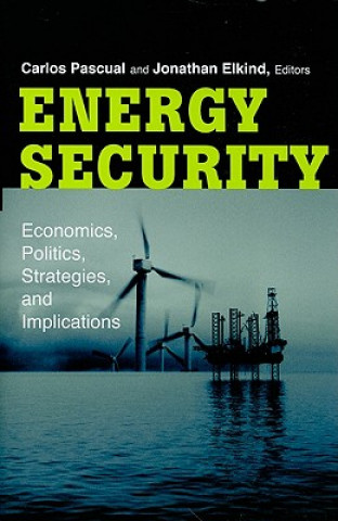 Buch Energy Security 