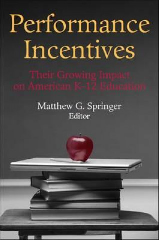 Buch Performance Incentives 