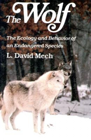 Książka Wolf L.David Mech
