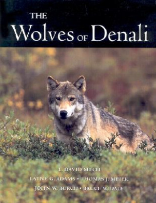 Książka Wolves Of Denali L.David Mech