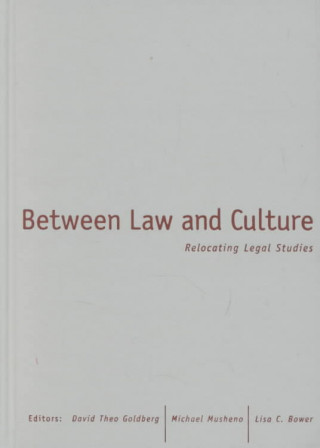 Kniha Between Law And Culture David Theo Goldberg