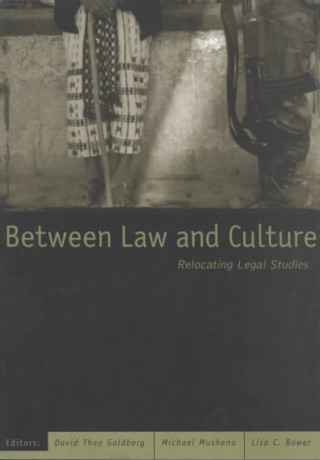 Carte Between Law And Culture David Theo Goldberg