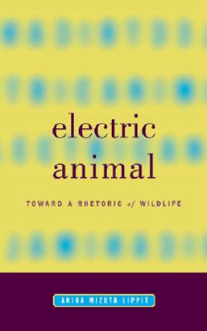 Carte Electric Animal Akira Mizuta Lippit