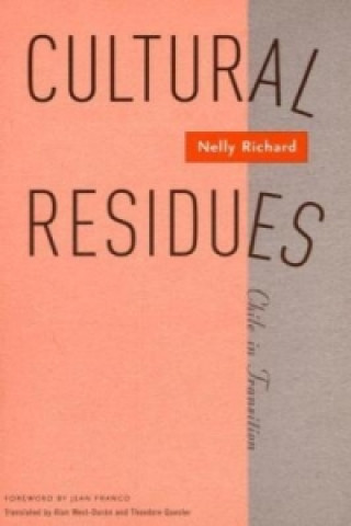 Buch Cultural Residues Nelly Richard