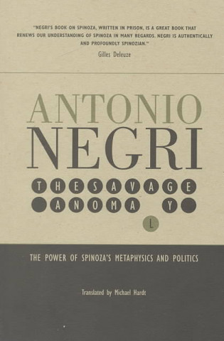 Book Savage Anamoly Antonio Negri