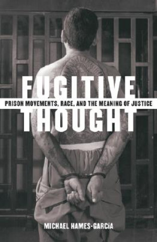 Buch Fugitive Thought Michael Hames-Garcia