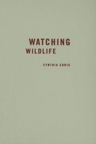 Kniha Watching Wildlife Cynthia Chris