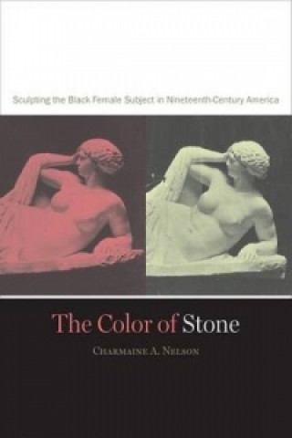 Carte Color of Stone Charmaine A. Nelson