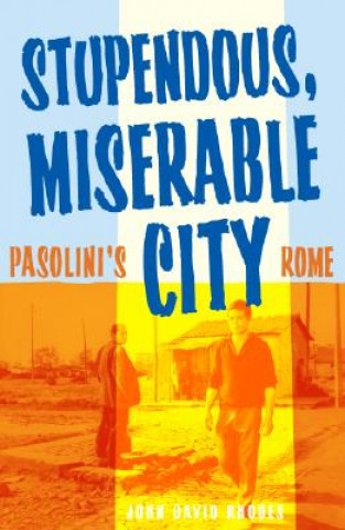 Buch Stupendous, Miserable City John David Rhodes