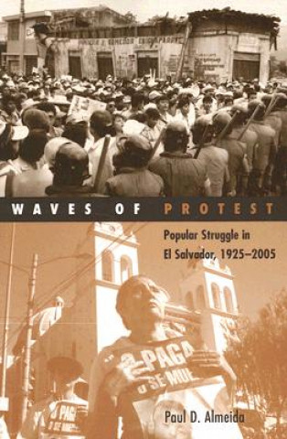 Könyv Waves of Protest Paul D. Almeida