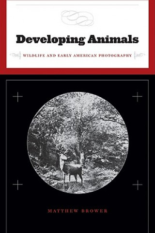 Kniha Developing Animals Matthew Brower