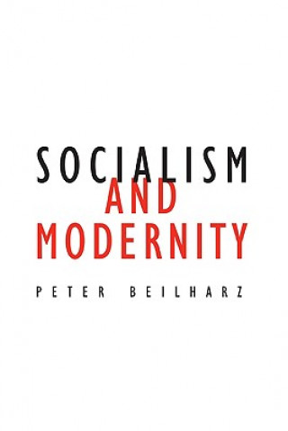 Книга Socialism and Modernity Peter Beilharz