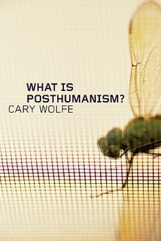 Könyv What Is Posthumanism? Cary Wolfe