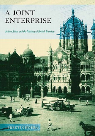 Kniha Joint Enterprise Preeti Chopra