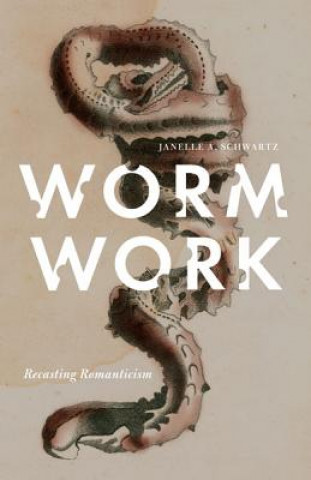 Knjiga Worm Work Janelle A. Schwartz