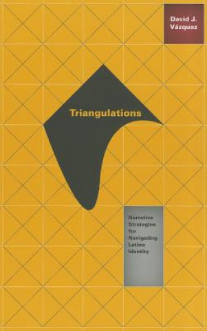 Книга Triangulations David J. Vazquez