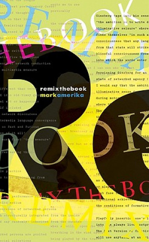 Buch remixthebook Mark Amerika