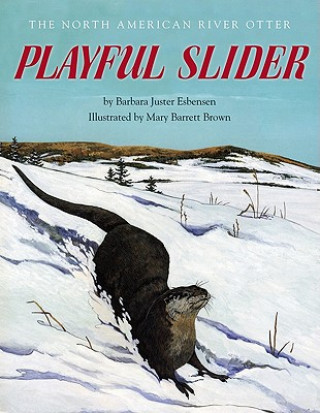 Kniha Playful Slider Barbara Juster Esbensen