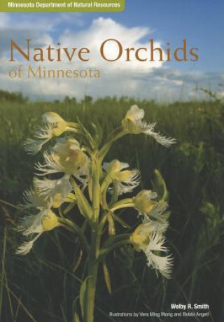 Kniha Native Orchids of Minnesota Welby R. Smith