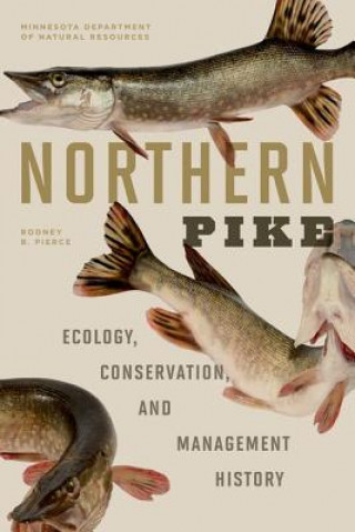 Kniha Northern Pike Rodney B. Pierce