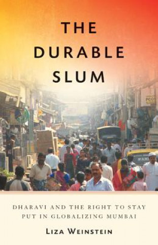 Kniha Durable Slum Liza Weinstein